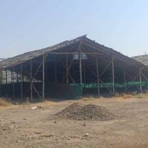 loos_onion_shed_original_copy_1