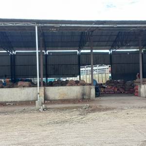 Onion_Auction_Shed_3_original