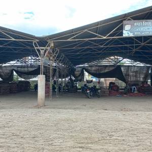 Onion_Auction_Shed_original